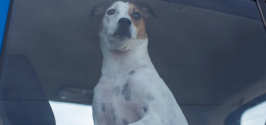 Car Lockout Solutions in Waterford, California